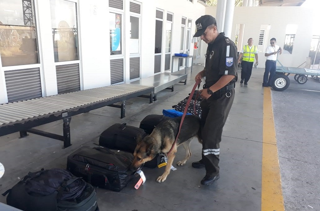En los puestos fronterizos terrestres y aeroportuarios también se hicieron registros de equipajes y cargamentos sospechosos de contener especies silvestres protegidas, a menudo con la ayuda de perros adiestrados, como en esta fotografía, tomada en Ecuador.